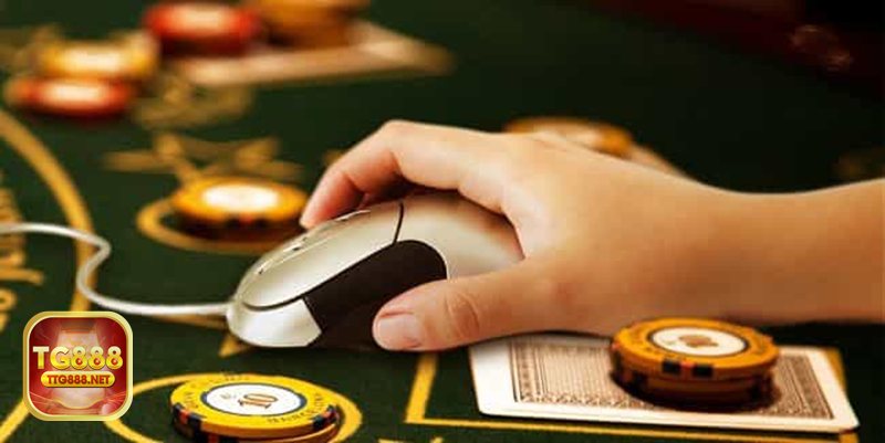 Giấy Phép Hợp Pháp - Từ giấy phép đến bảo mật và tính công bằng