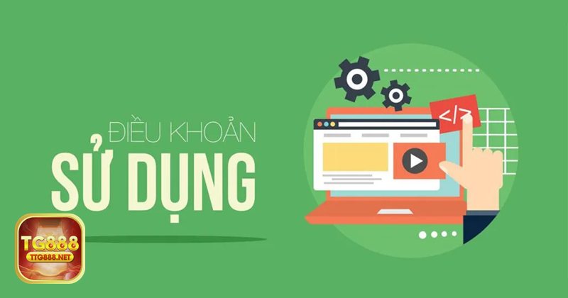 Điều Khoản Dịch Vụ - Quy tắc sử dụng tài khoản và hành vi bị hạn chế